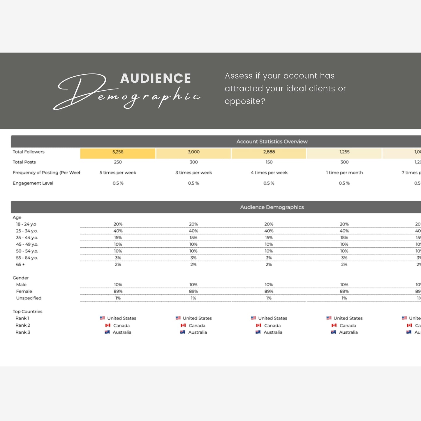 Social Media Audit Template