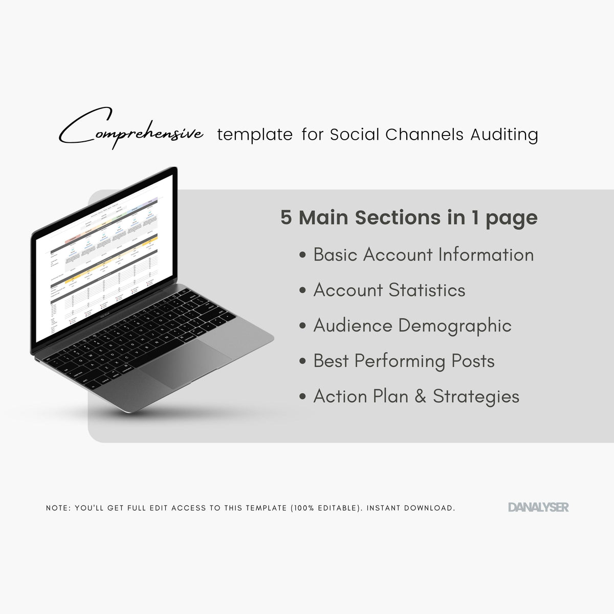 Social Media Audit Template – Danalyser